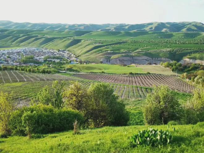 斬獲2024 CMB 10枚大獎，絲路酒莊彰顯國產葡萄酒強勁發展勢頭